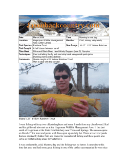 Shane`s 20&rdquo; Yellow Rainbow Trout I went fishing with my two oldest