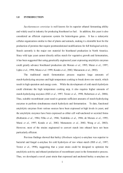 LIAO-DISSERTATION - eCommons@USASK