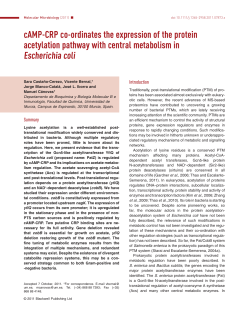 cAMPCRP coordinates the expression of the protein acetylation