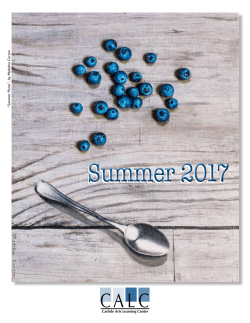 Summer 2017 - Carlisle Arts Learning Center
