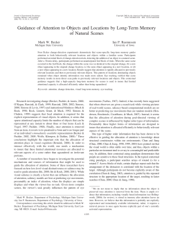 Guidance of Attention to Objects and Locations by Long