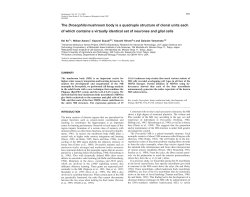 The Drosophila mushroom body is a quadruple structure of clonal