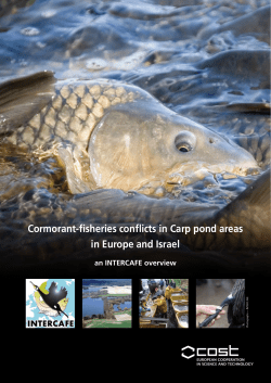 Cormorant-fisheries conflicts in Carp pond areas in