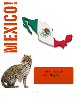 Angie Zayna mexico mag