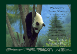 Interpretive Master Plan