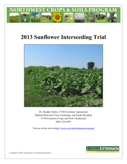 2013 Sunflower Interseeding Trial