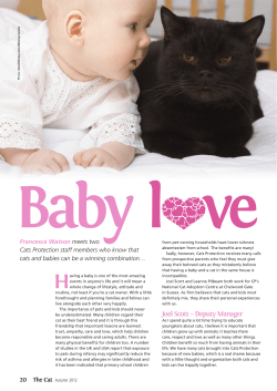 Cats and babies - Cats Protection