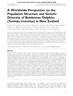 A Worldwide Perspective on the Population Structure and Genetic