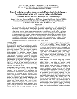 Growth and pigmentation development efficiencies in fantail guppy