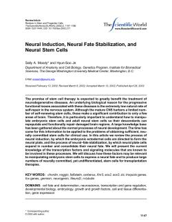 Neural Induction, Neural Fate Stabilization, and Neural