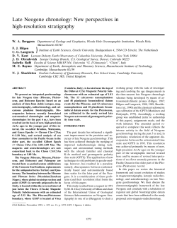 Late Neogene chronology: New perspectives in