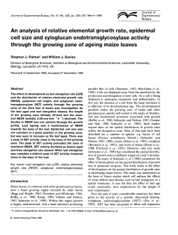 An analysis of relative elemental growth rate, epidermal cell size