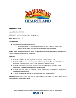 Beneficial Bats - America`s Heartland