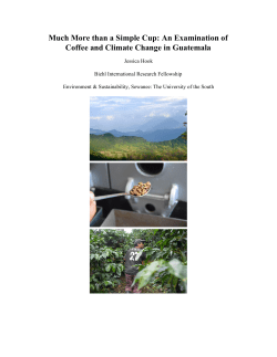 Much More than a Simple Cup: An Examination of Coffee