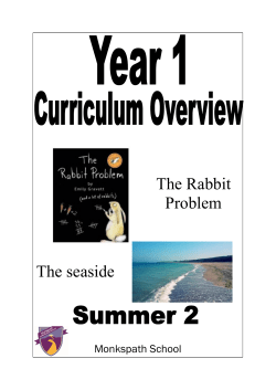The Rabbit Problem The seaside - Monkspath Junior and Infant