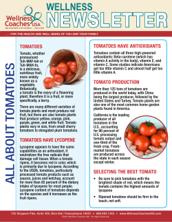 all about tomatoes