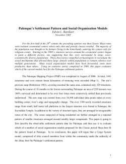 Palenque`s Settlement Pattern and Social Organization Models