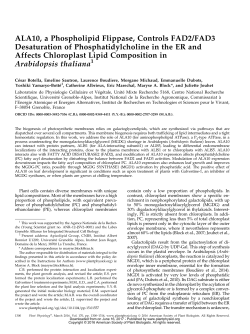 ALA10, a Phospholipid Flippase, Controls FAD2