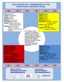 the conceptual framework of the traditional medicine wheel