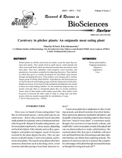 Carnivory in Pitcher