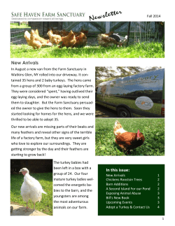 Newsletter Fall 2014 - Safe Haven Farm Sanctuary