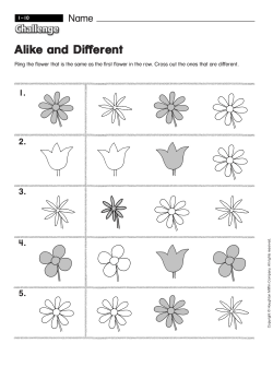 Unit 1-10 Alike and Different