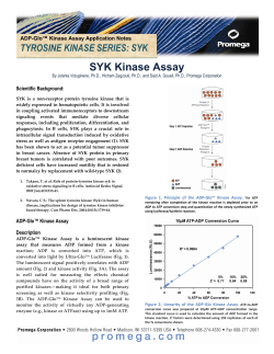 SYK Kinase Assay - Promega Corporation