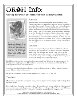 chronic kidney disease - Onion River Animal Hospital