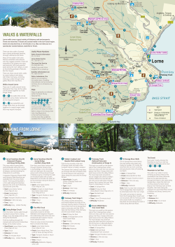 Lorne Walks and Waterfalls