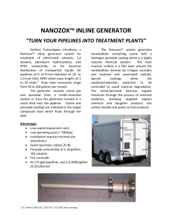 nanozox&trade; inline generator