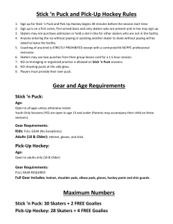 Stick `n Puck and Pick-Up Hockey Rules Gear
