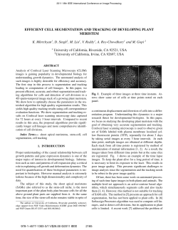 Efficient Cell Segmentation and Tracking of Developing Plant
