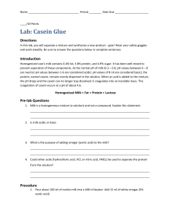 Lab: Casein Glue