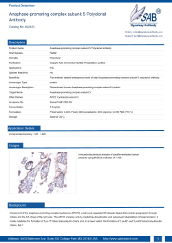 Anaphase-promoting complex subunit 5 Polyclonal Antibody