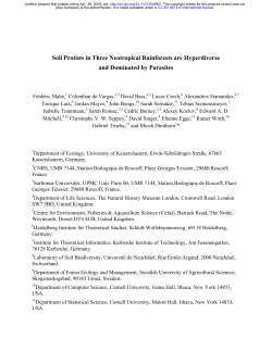 Soil Protists in Three Neotropical Rainforests are