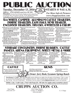 public auction - Chupp`s Auction Company
