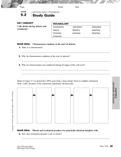 Print Preview - C:\WINDOWS\TEMP\e3temp_4996\.aptcache