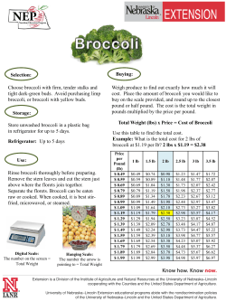 Broccoli - UNL Food