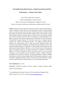 Pyramid Structure, Capital Structure and Firm Performance in China