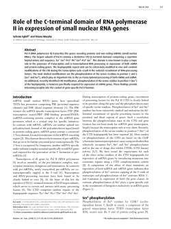 Role of the C-terminal domain of RNA polymerase II