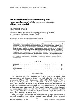 On evolution of andromonoecy and overproduction of flowers: a