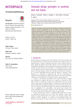 Stomatal design principles in synthetic and real