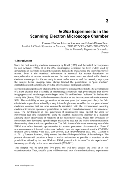 In Situ Experiments in the Scanning Electron Microscope Chamber
