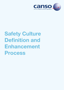 Safety Culture Definition and Enhancement Process