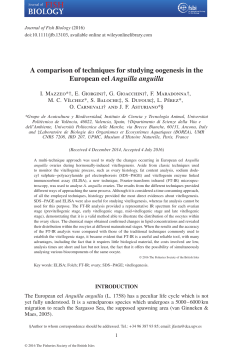 A comparison of techniques for studying oogenesis