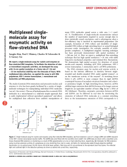 Multiplexed single-molecule assay for