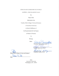 effects of fluoxetine in juvenile guppies , poecilia reticulata