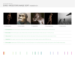 EARLY ANCESTORS IMAGE SORT (ANSWER KEY)