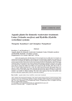 Aquatic plants for domestic wastewater treatment: Lotus (Nelumbo