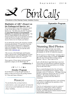 Stunning Bird Photos Mission - Bastrop County Audubon Society